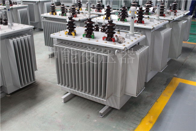 安康S22-250KVA/10KV变压器